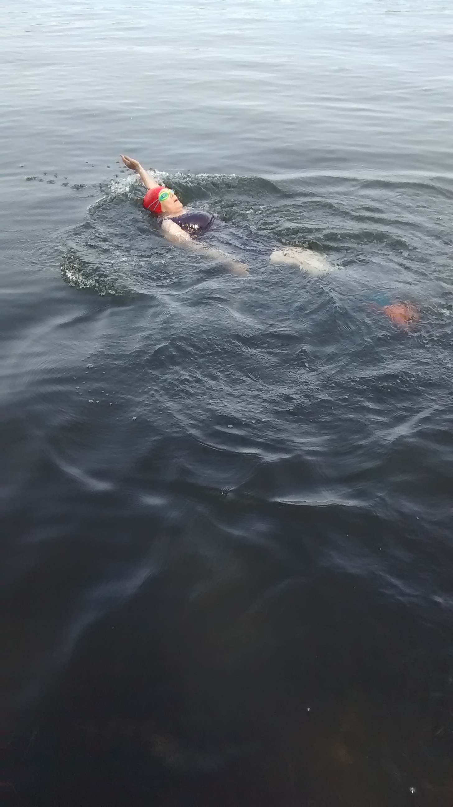 White woman (red cap, green goggles, purple aquatard, blue/orange flippers) backstroking through dark, still waters on a northern Wisconsin lake on a cloudy day