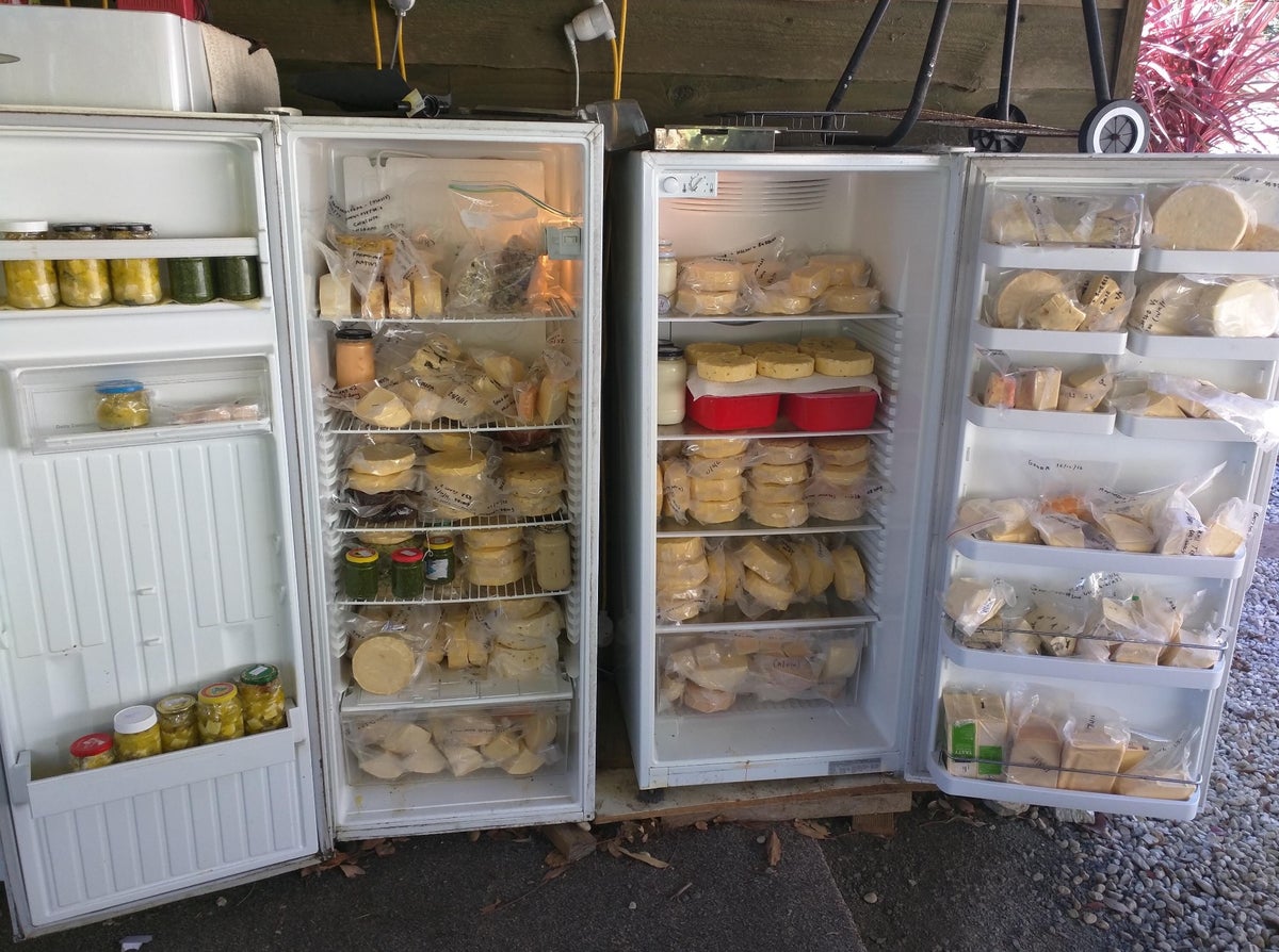 The cheese fridge MLTSHP