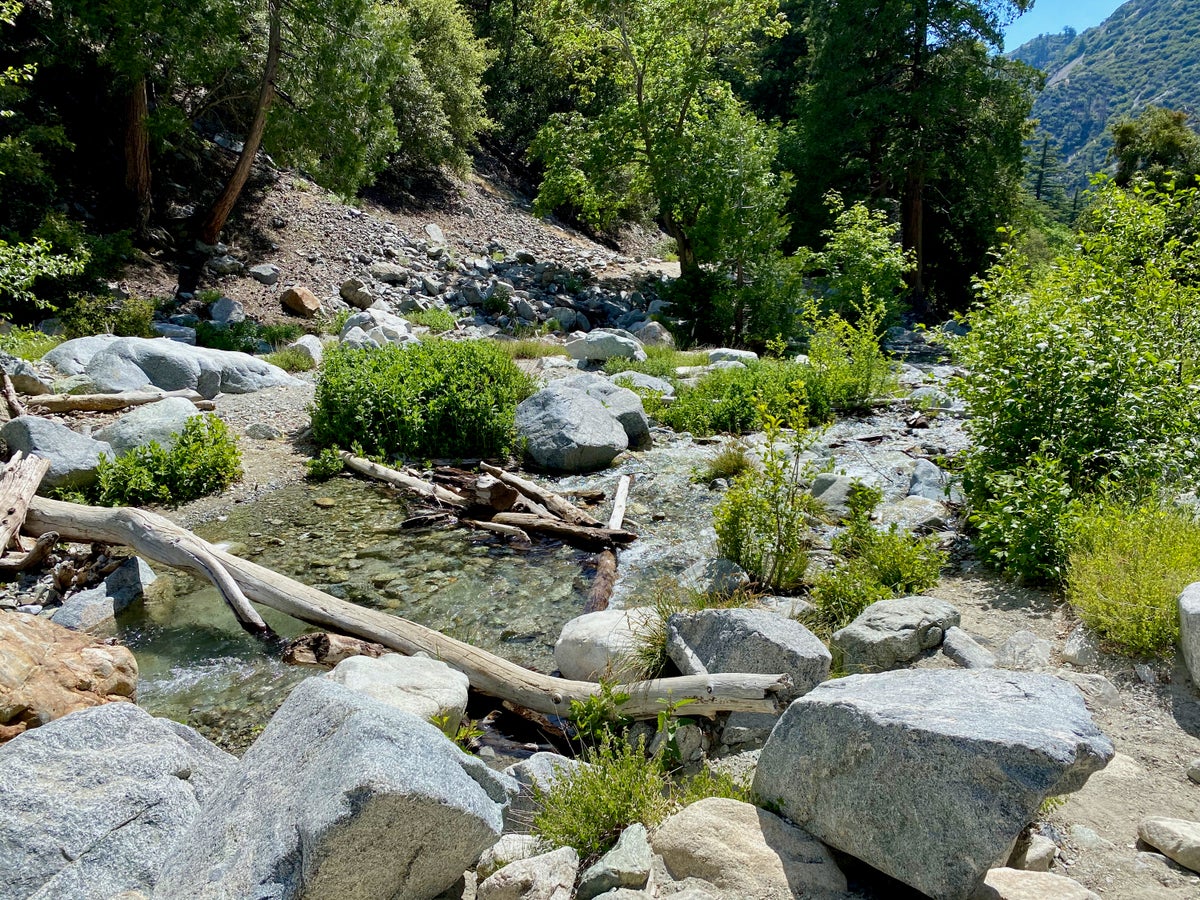 Ice House Canyon Trail MLTSHP
