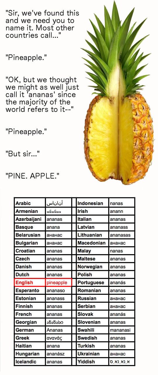 Ananas - Wiktionary, the free dictionary