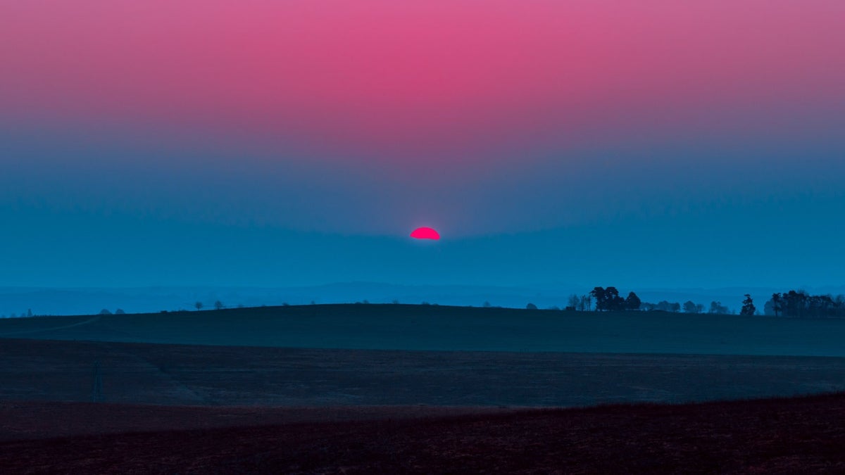 Elsa Bleda | MLTSHP