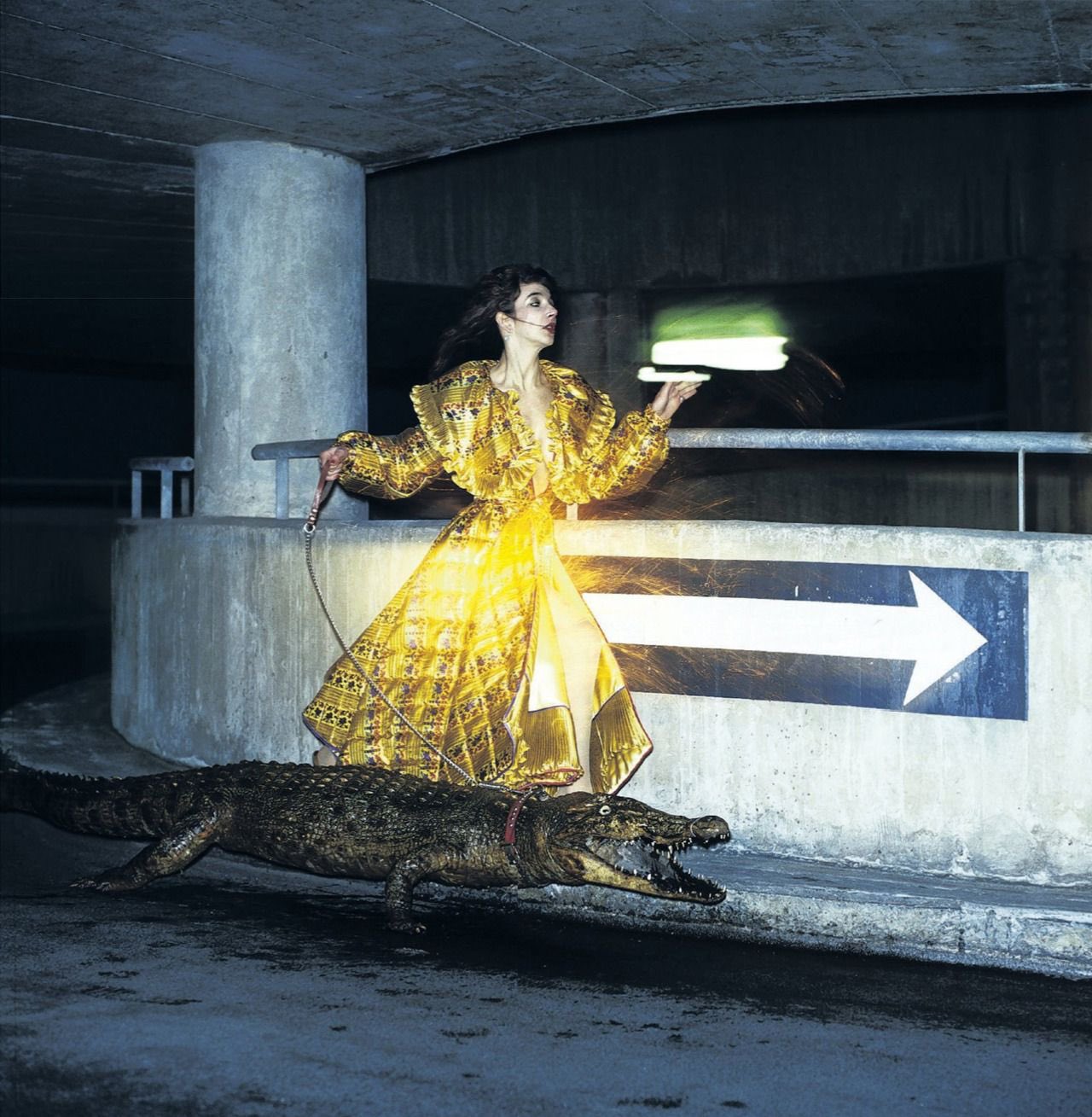 Kate Bush with crocodile in a parking garage | MLTSHP