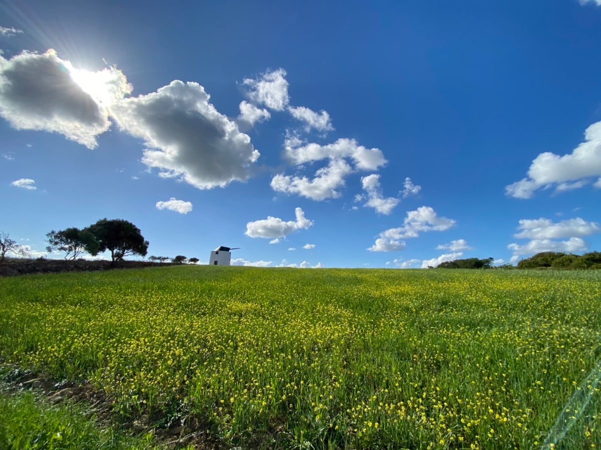 “Moving to the country, gonna eat me a lot of peaches” MLTSHP