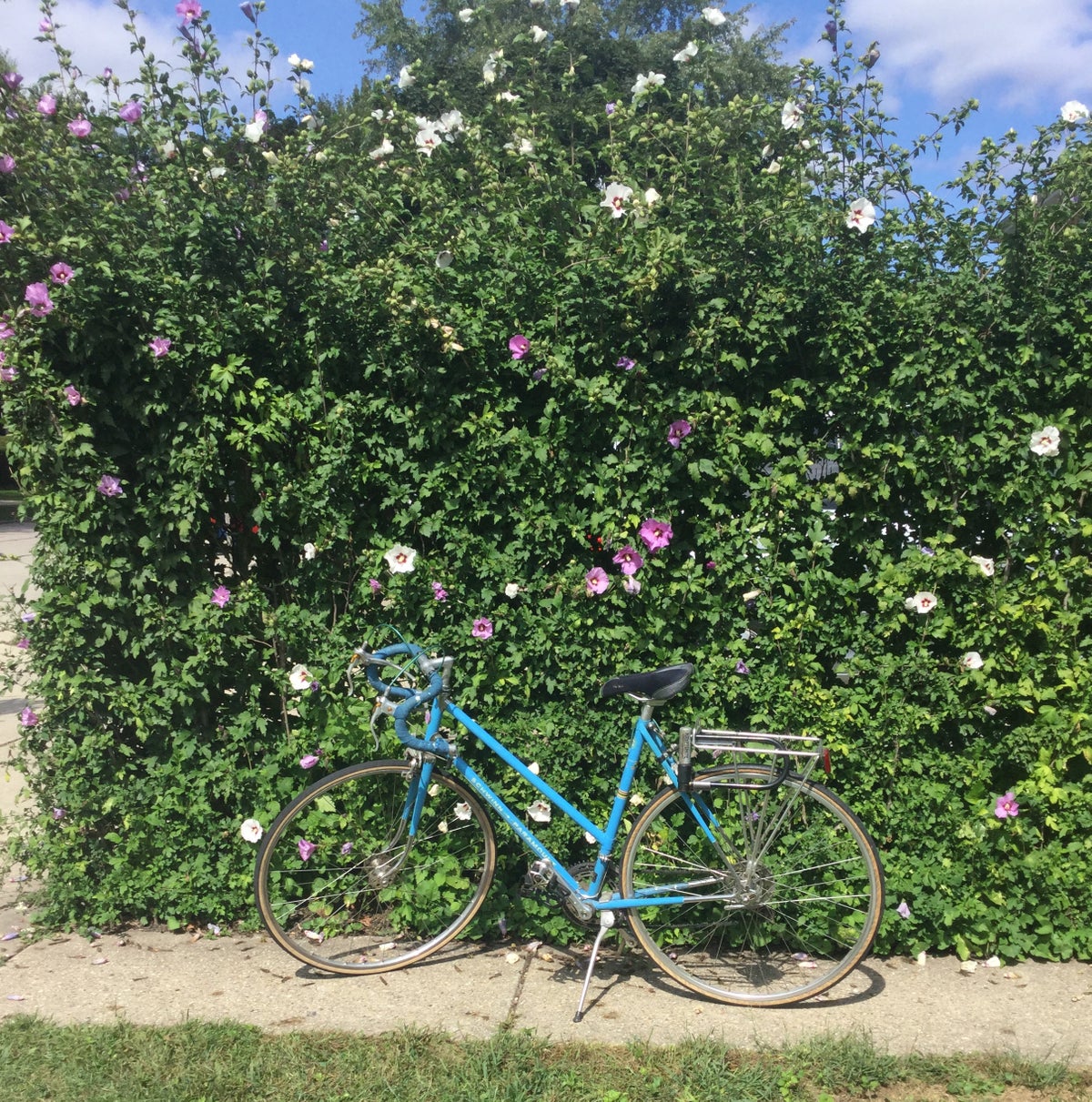 my goofy touring bike | MLTSHP