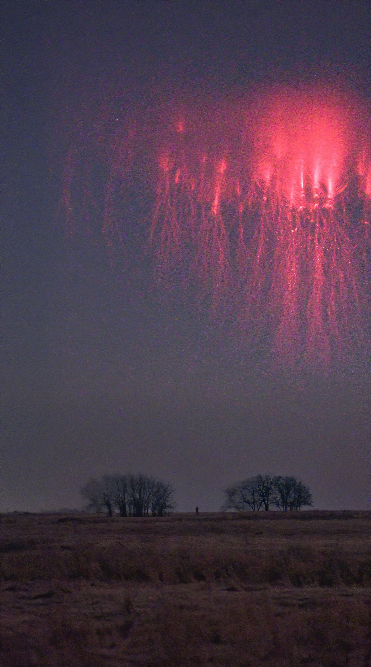 Jellyfish sprite lightning MLTSHP
