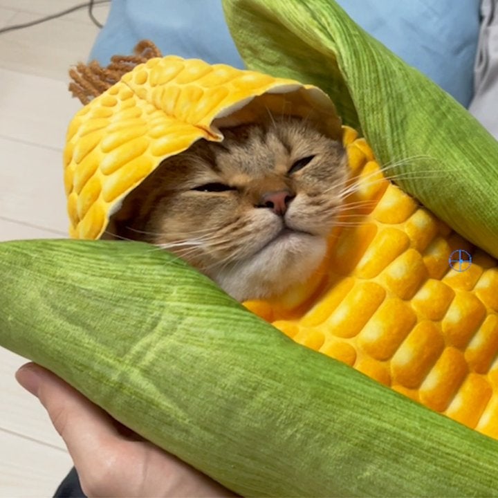 I'm just a little corn cob | MLTSHP
