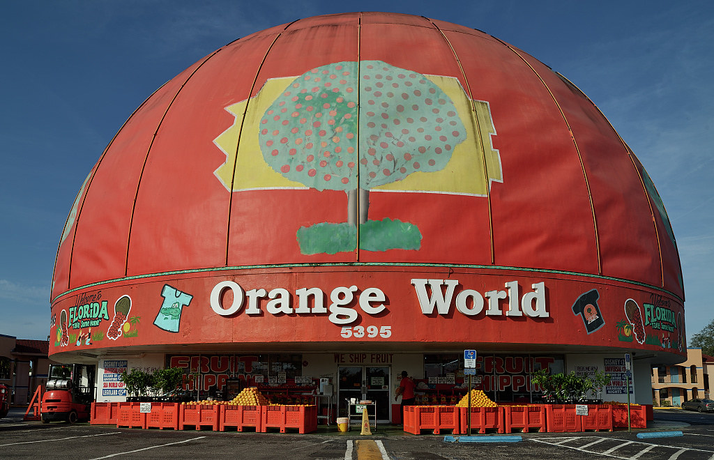 Kissimmee, Florida MLTSHP