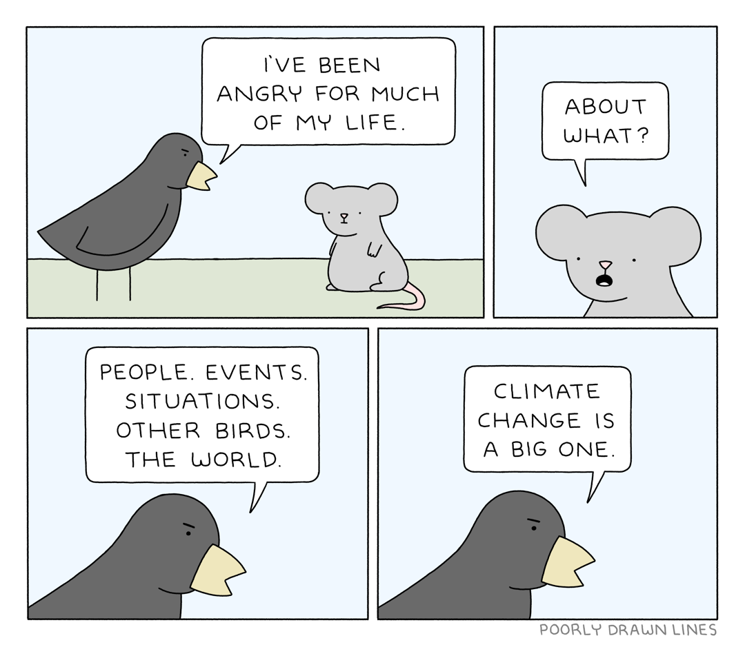 Angry birds комиксы. Переведи angry. Регистрационный код angry birds. Переведи angry. Angry birds сердитые птички.