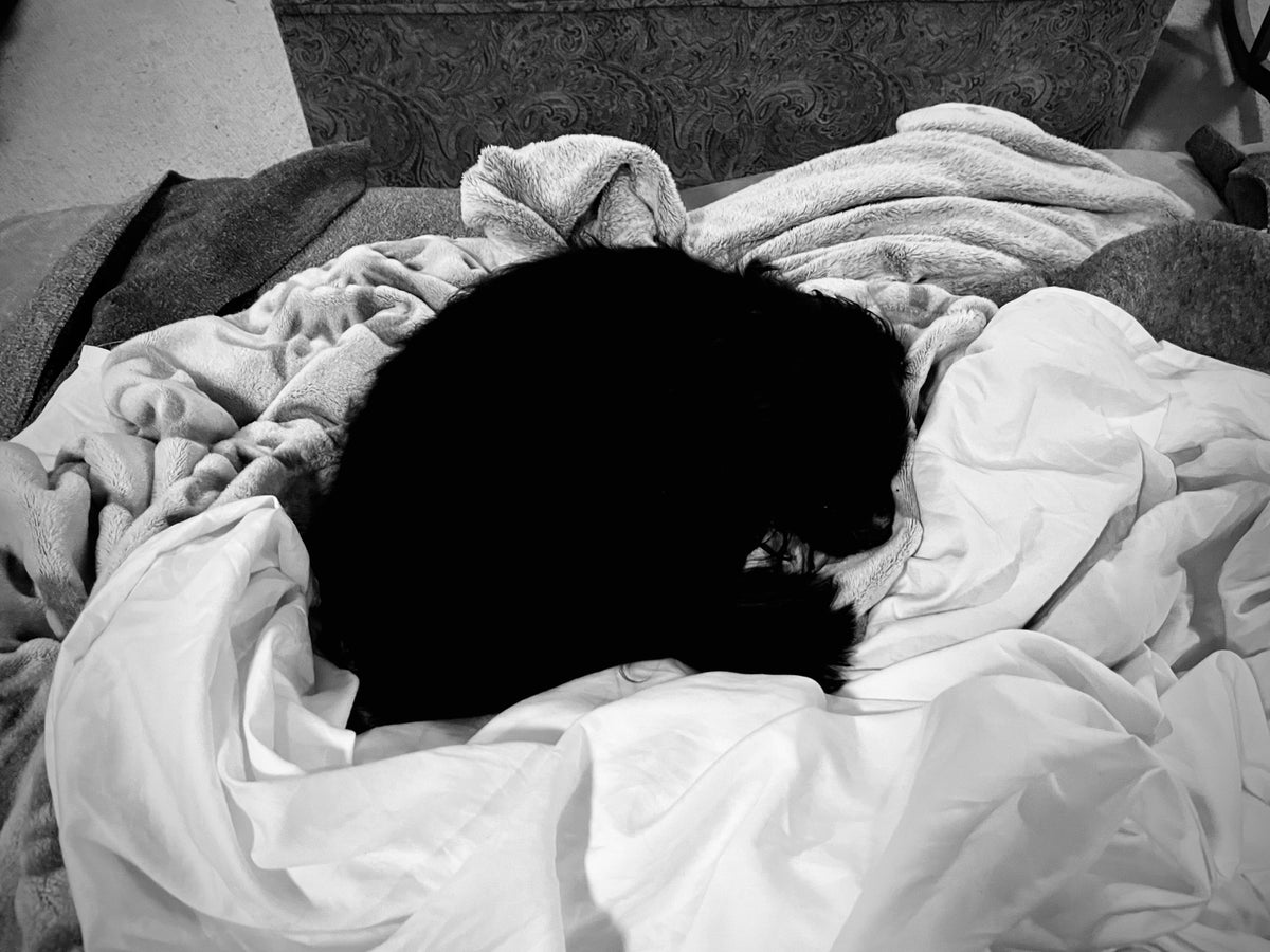 There’s a little black spot on my bed today… MLTSHP