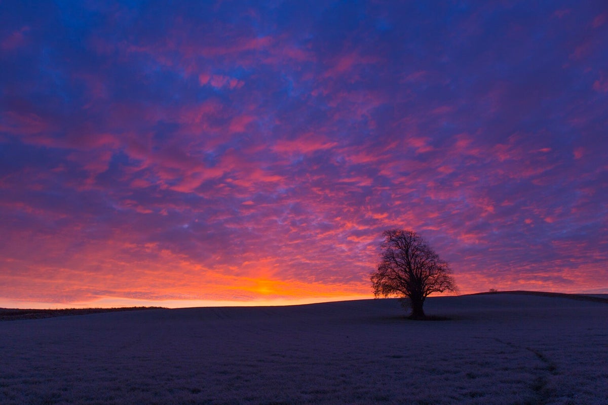 Sunrise at Galloway, Scotland | MLTSHP