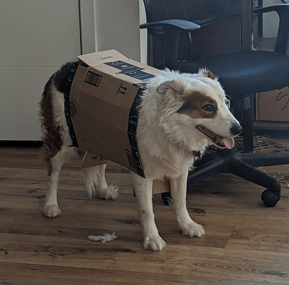 your package has arrived MLTSHP