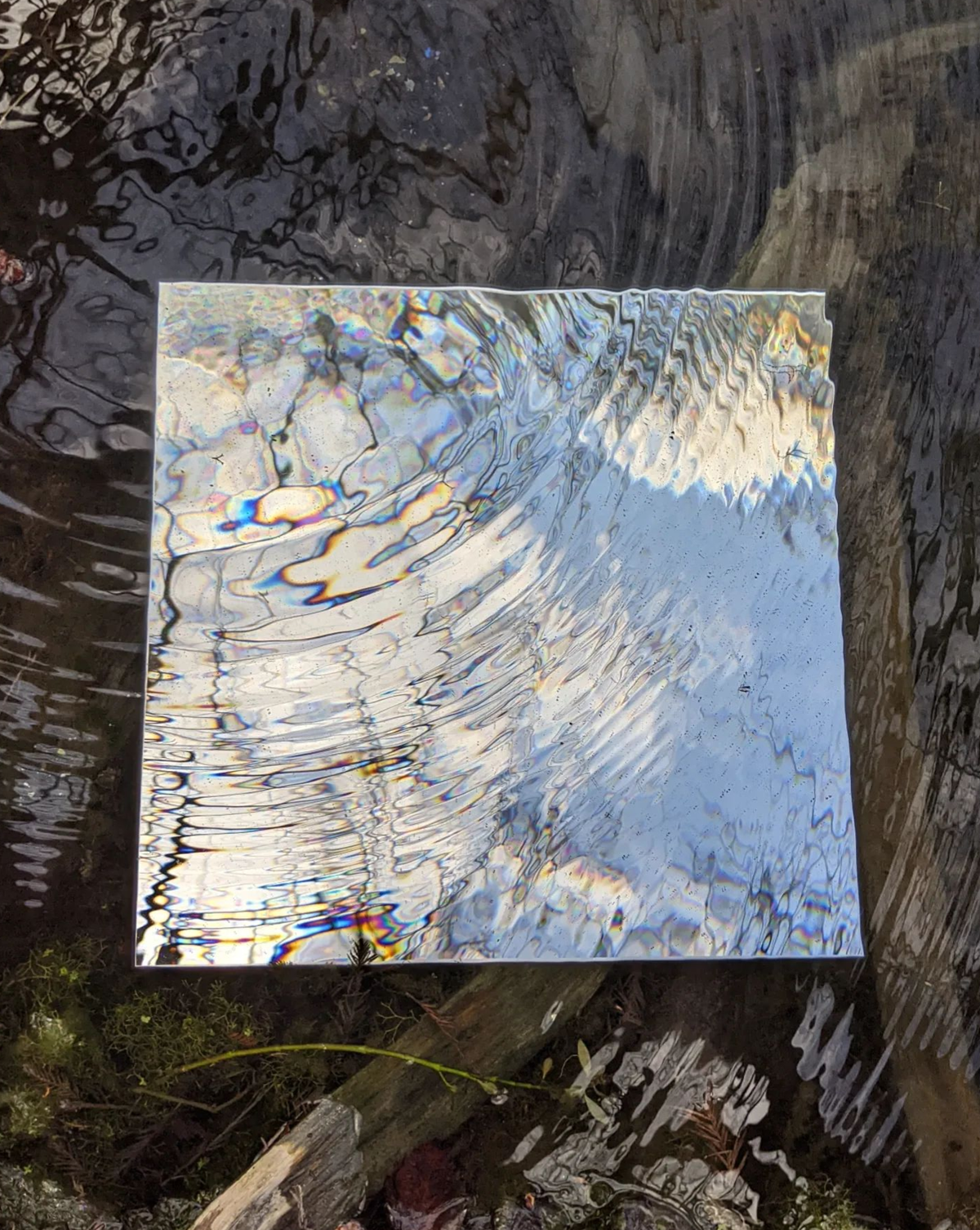 Mirror Waves | MLTSHP