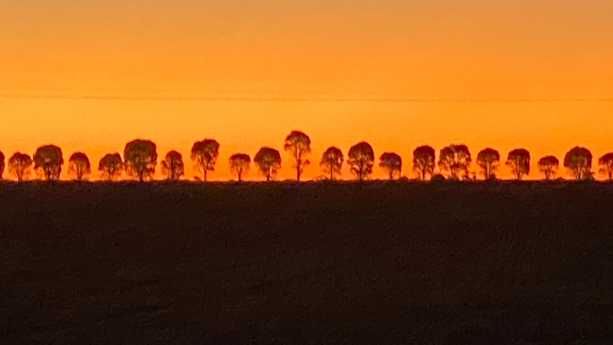 Sunset in the Wimmera, VIC | MLTSHP