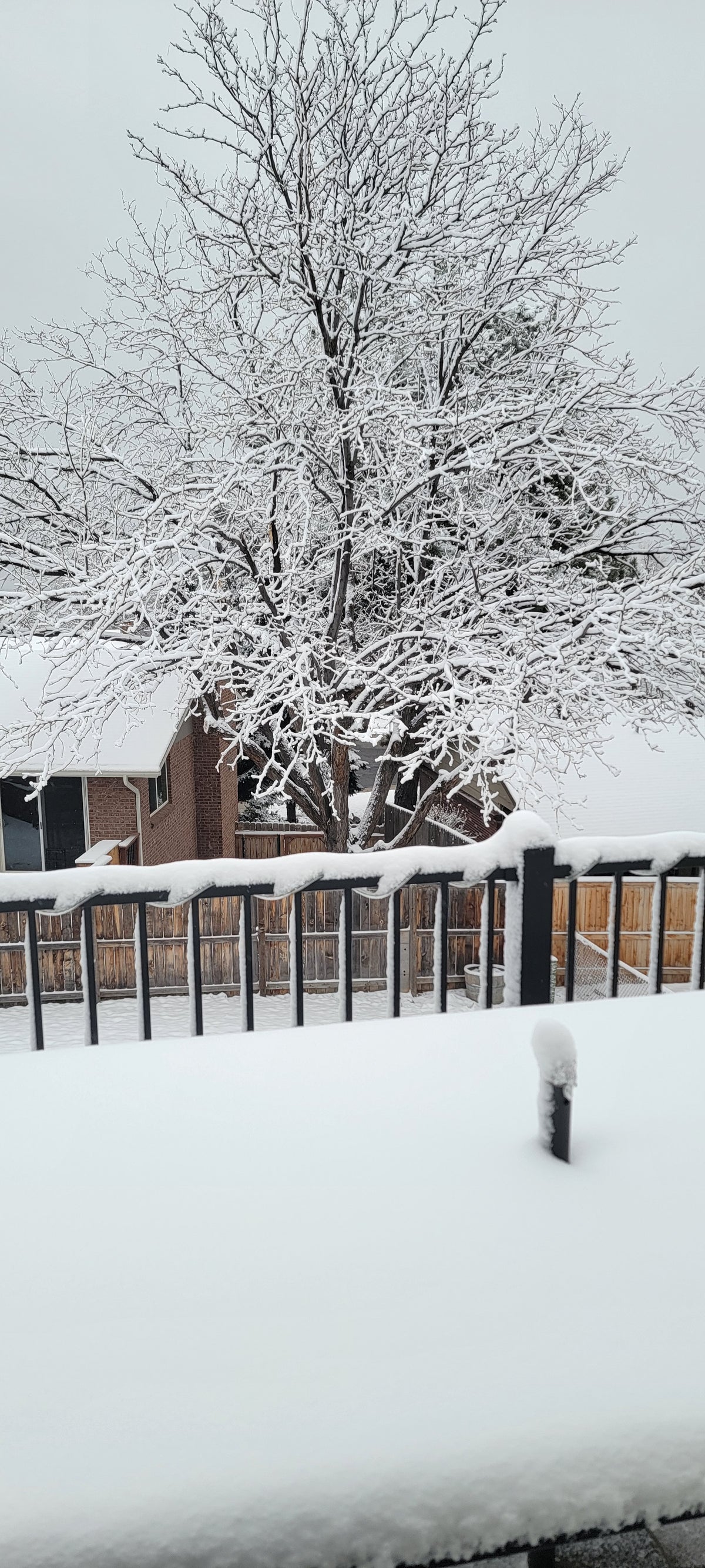 Springtime in Colorado | MLTSHP