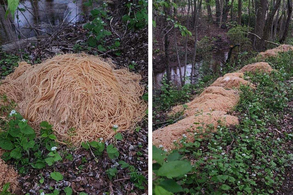 does-pasta-just-grow-in-nj-now-mltshp