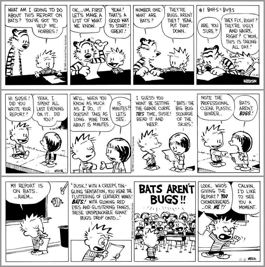 BATS AREN'T BUGS | MLTSHP