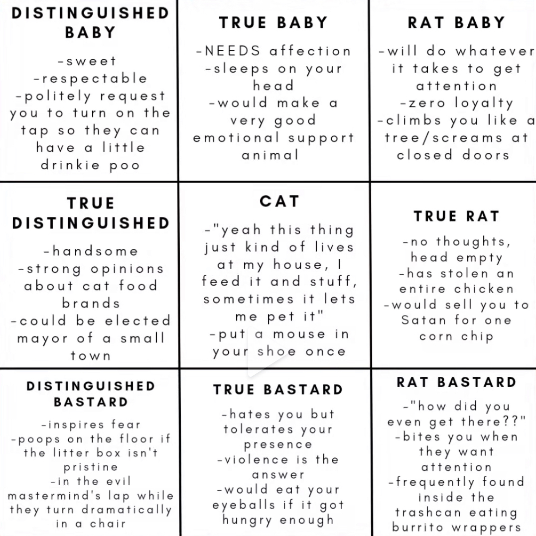 cat alignment chart MLTSHP