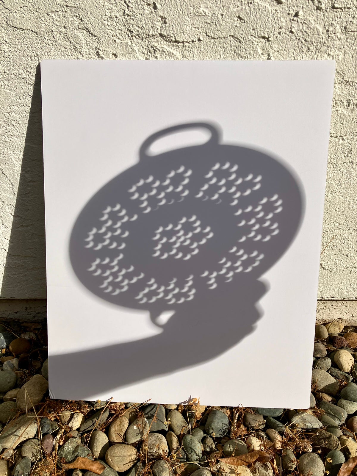 Colander Eclipse MLTSHP