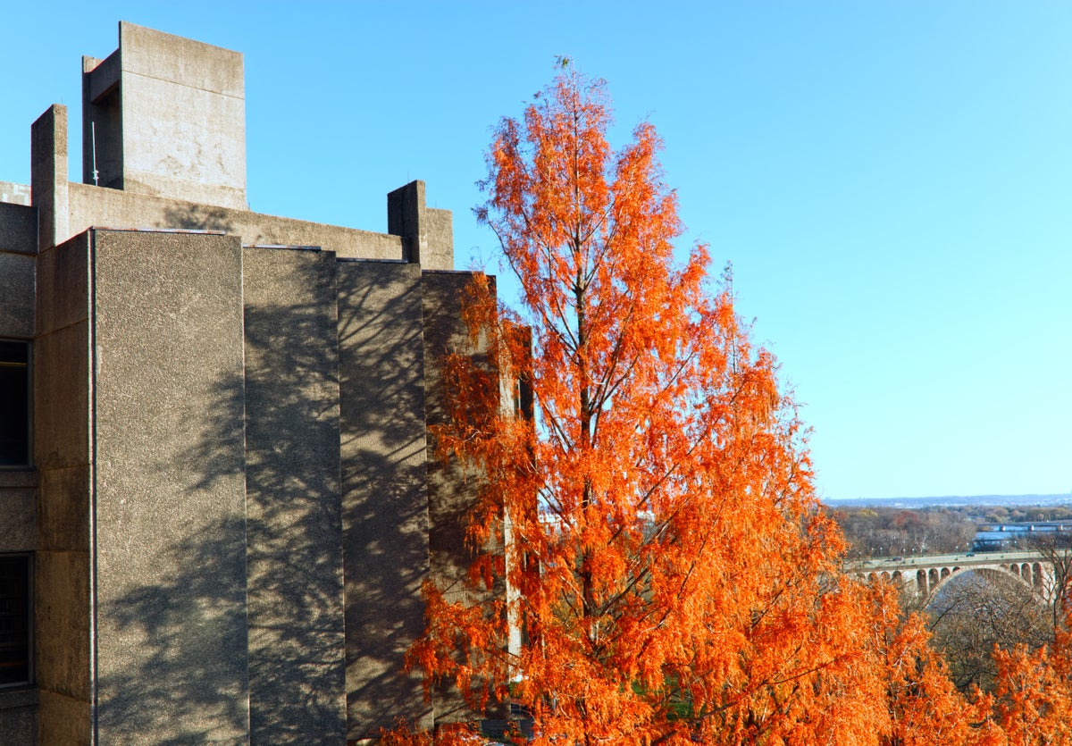 georgetown-university-library-mltshp