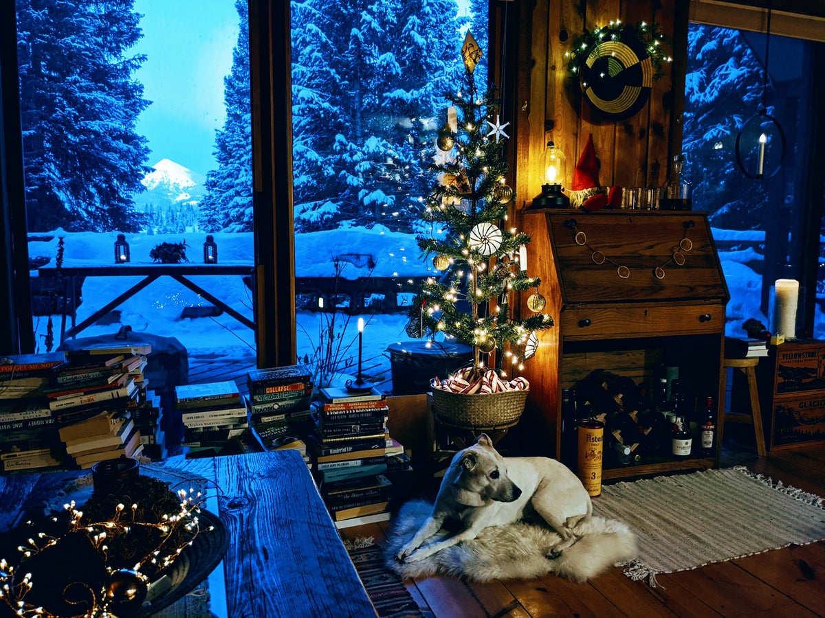 happy-holidays-the-dog-is-tired-mltshp