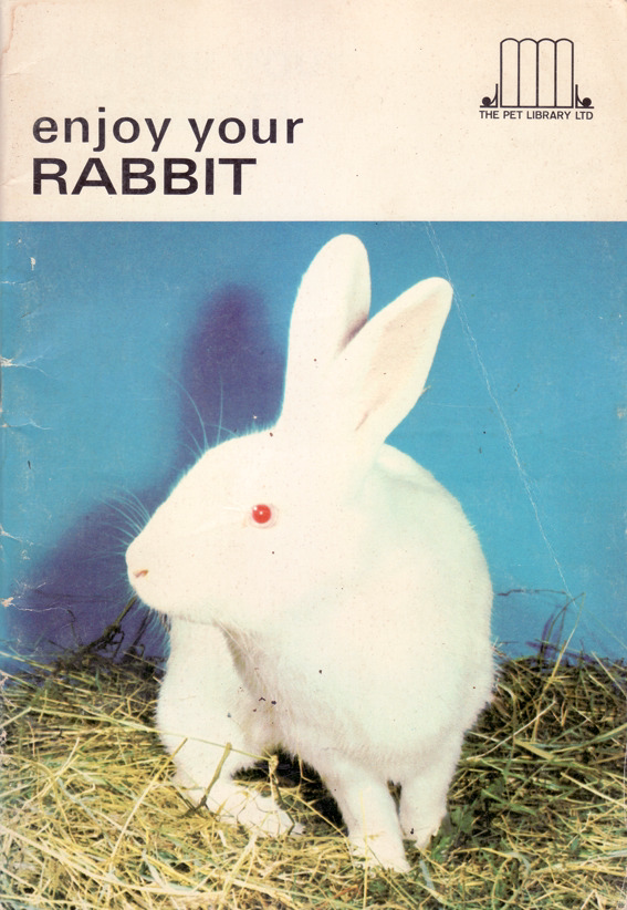 The Rabbit (Version .9) | MLTSHP