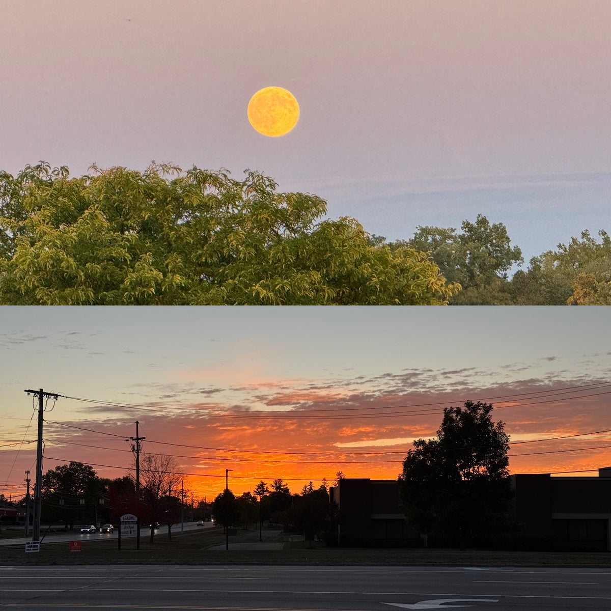 Opposite Ends of the Parking Lot | MLTSHP