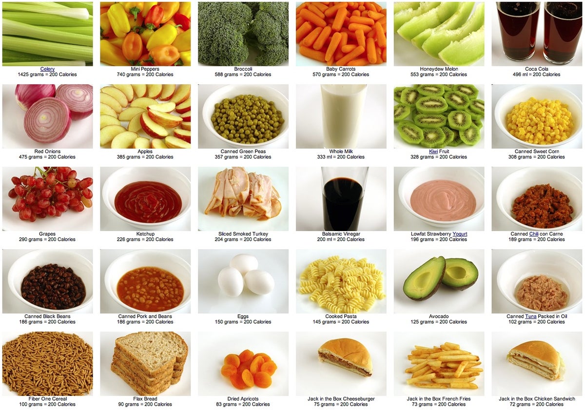 selection from What Does 200 Calories Look Like.jpg MLTSHP