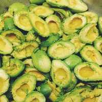 avocado